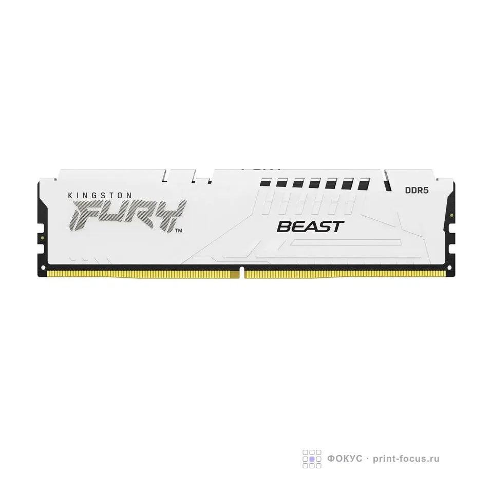Kingston KF556C36BWE-16, артикул KF556C36BWE-16