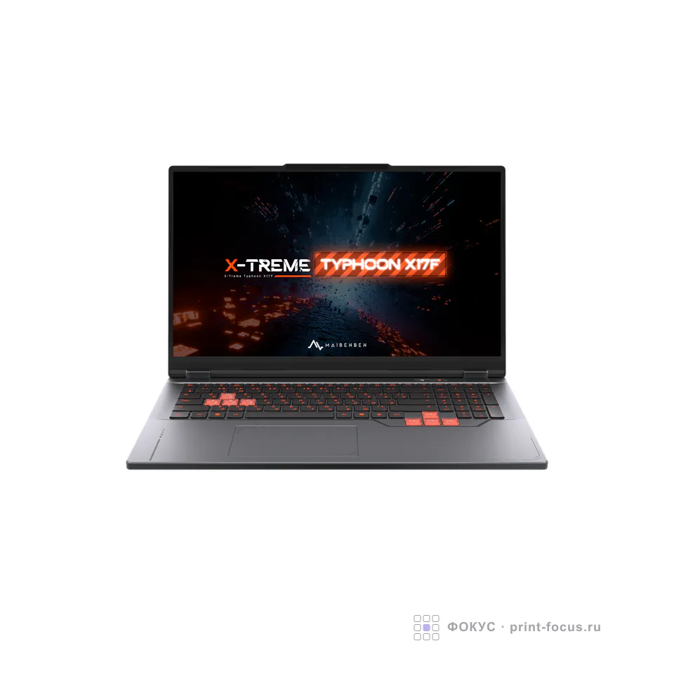 Maibenben Typhoon X17F-R98956 (X17F-R989560G34LG4E10), артикул X17F-R989560G34LG4E10