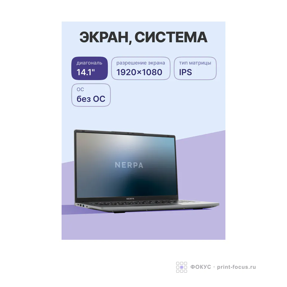 Nerpa Caspica ALOSO A342-14, артикул A342-14BB082600G