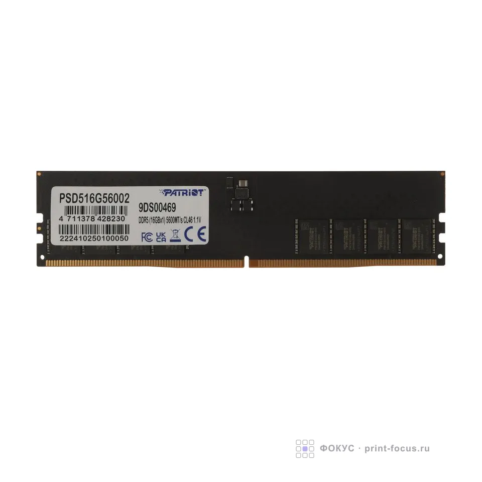 Patriot PSD516G56002, артикул PSD516G56002