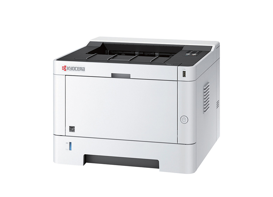 Принтер  Kyocera Ecosys P2040DW