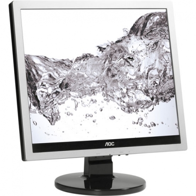 Монитор  17 AOC Pro-line E719SDA silver black