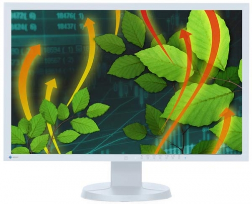 Монитор  24 EIZO FlexScan EV2416W (EV2416W-GY)