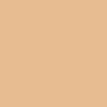 Пленка для термопереноса на ткань Poli-Flex Premium Beige 417