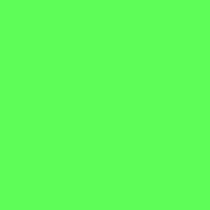 Пленка для термопереноса на ткань Poli-Flex Premium Neon Green 441