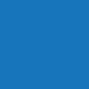 Плоттерная пленка  Oracal 641-84 1x50 м