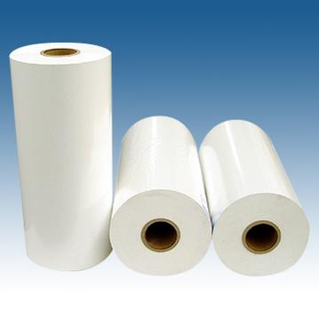 Рулонная самоклеящаяся бумага и пленка для печати  Xerox Self Adhesive Vinyl Gloss 260 мкм