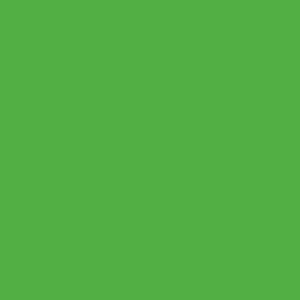Термопленка CAD-CUT sports film FLUO Green 401
