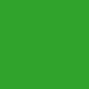 Термопленка CAD-CUT sports film Light Green 422