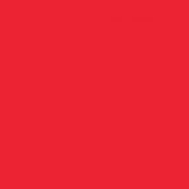 Термотрансферная пленка для плоттерной резки Chemica Firstmark 106 Red