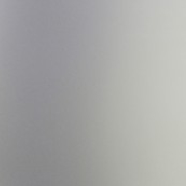 Термотрансферная пленка для плоттерной резки Chemica Firstmark 123 Silver
