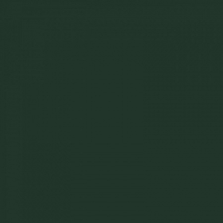 Термотрансферная пленка для плоттерной резки Chemica Hotmark 418 Forest Green