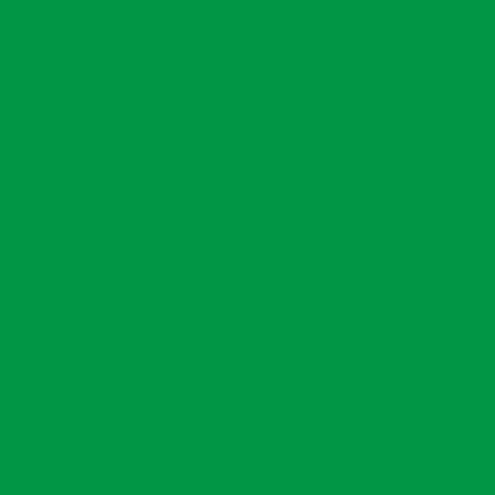 Термотрансферная пленка для плоттерной резки Chemica Hotmark 425 Light Green