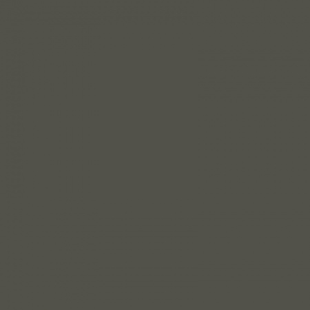 Термотрансферная пленка для плоттерной резки Chemica Hotmark 450 Khaki