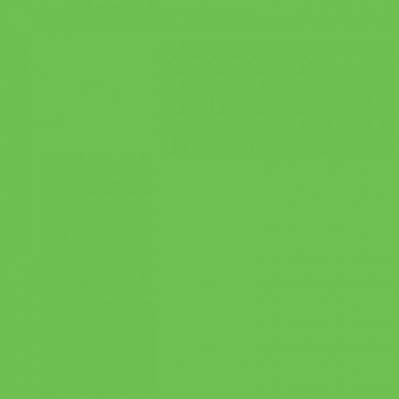 Термотрансферная пленка для плоттерной резки Chemica Hotmark 455 Apple Green