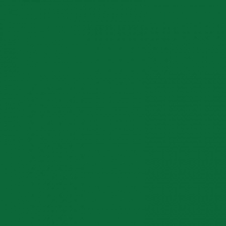 Термотрансферная пленка для плоттерной резки Chemica Hotmark Revolution 310 Dark Green