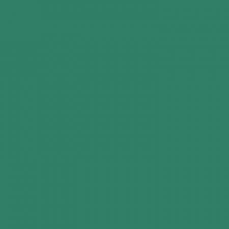 Термотрансферная пленка для плоттерной резки Chemica Quickflex Revolution 3610 Green