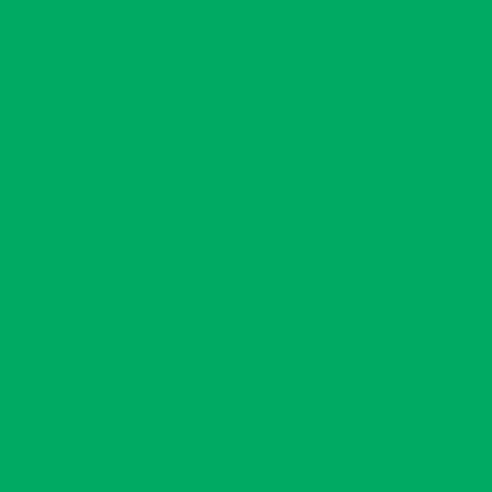 Термотрансферная пленка для плоттерной резки Chemica Quickflex Revolution 3625 Light Green