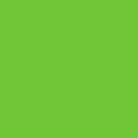 Термотрансферная пленка для плоттерной резки Chemica Quickflex Revolution 3655 Apple Green