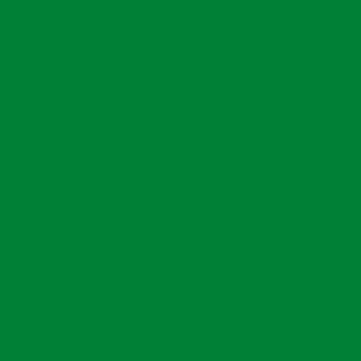 Витражная плоттерная пленка  Oracal 8300 F060 Dark Green 1.00x50 м