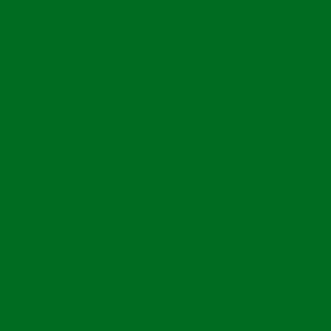 Витражная плоттерная пленка  Oracal 8300 F060 Dark Green 1.26x50 м