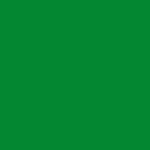 Витражная плоттерная пленка  Oracal 8300 F061 Green 1.26x50 м